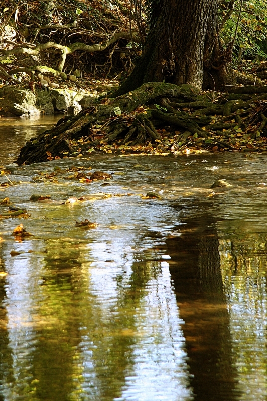 Sema stream, Conches Switzerland.jpg - Sema stream